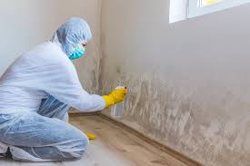 Best Mold Damage Restoration  in Syracuse, NY